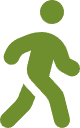 Walking icon
